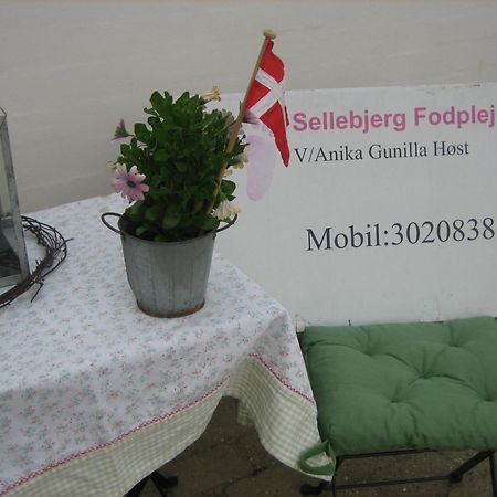 Sellebjerg Apartment Биндслев Экстерьер фото