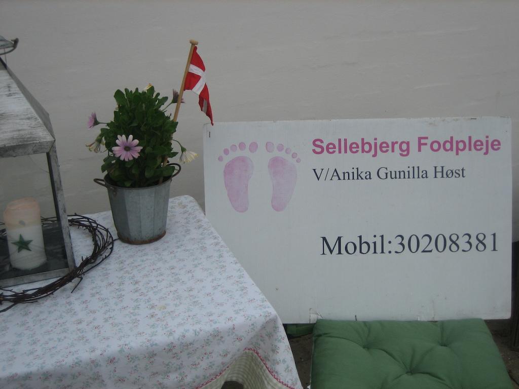 Sellebjerg Apartment Биндслев Экстерьер фото