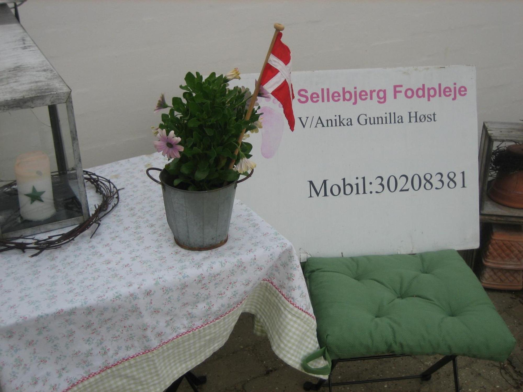 Sellebjerg Apartment Биндслев Экстерьер фото